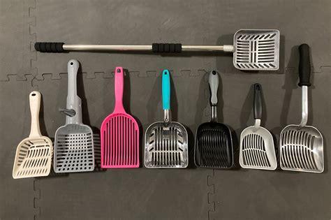 best cat litter scoop|The 3 Best Cat Litters of 2024 .